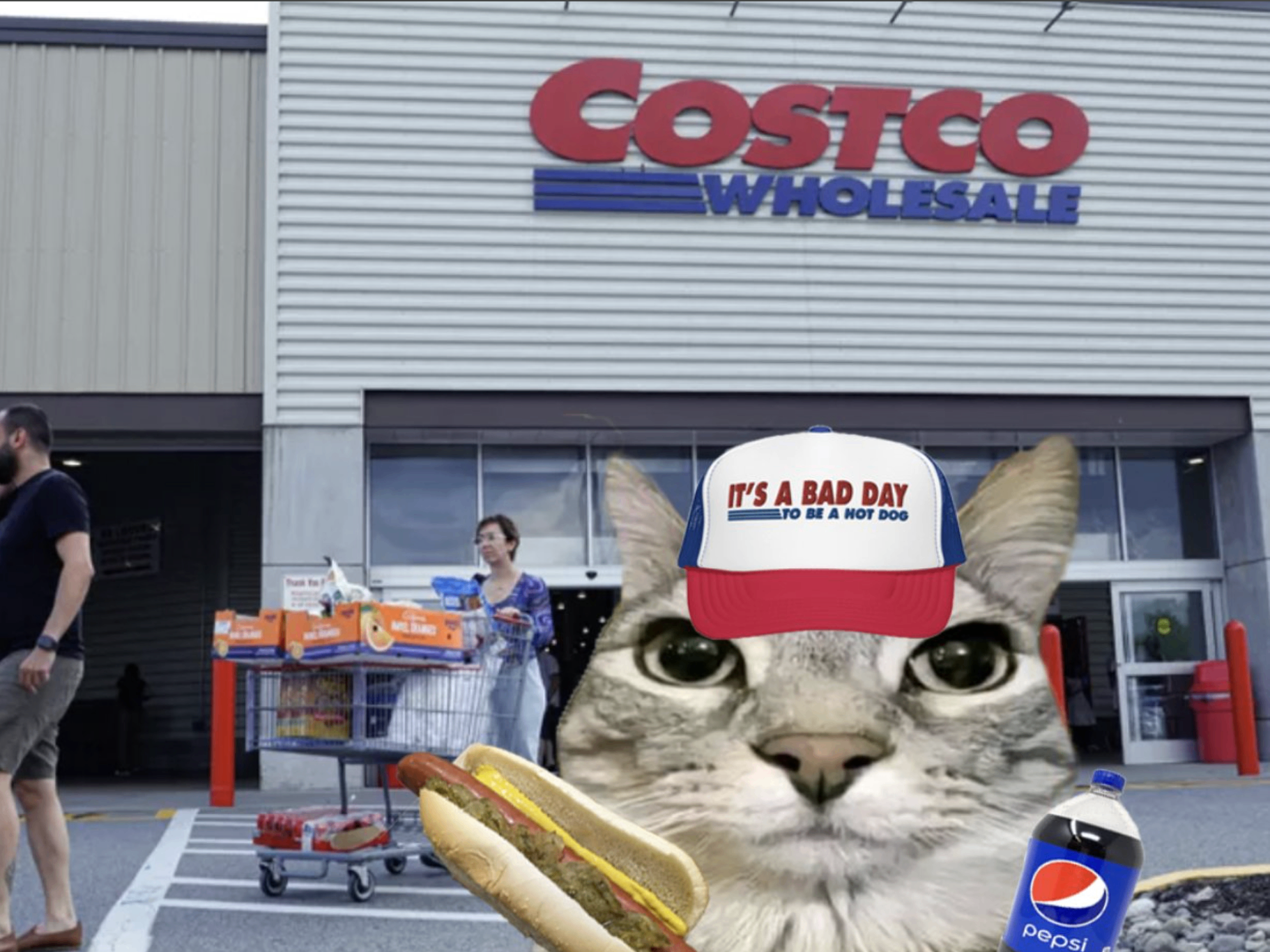 meme-01-costco.png