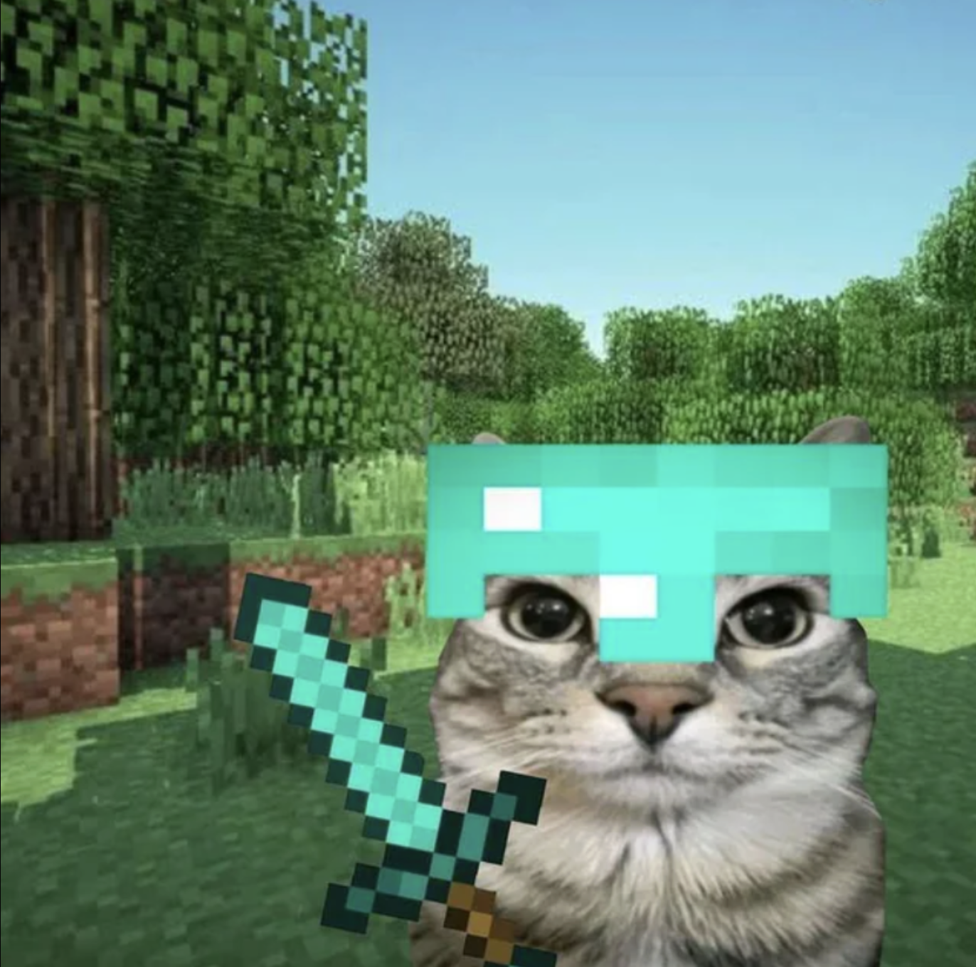meme-02-minecraft.png