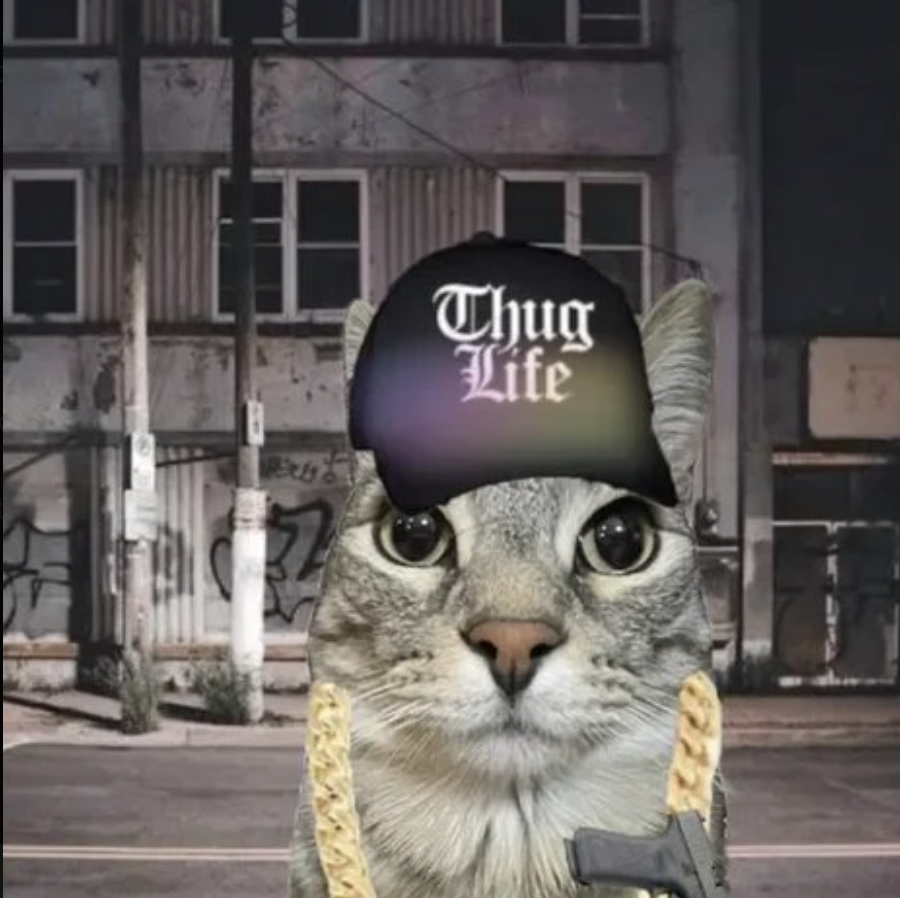 meme-04-thuglife.png