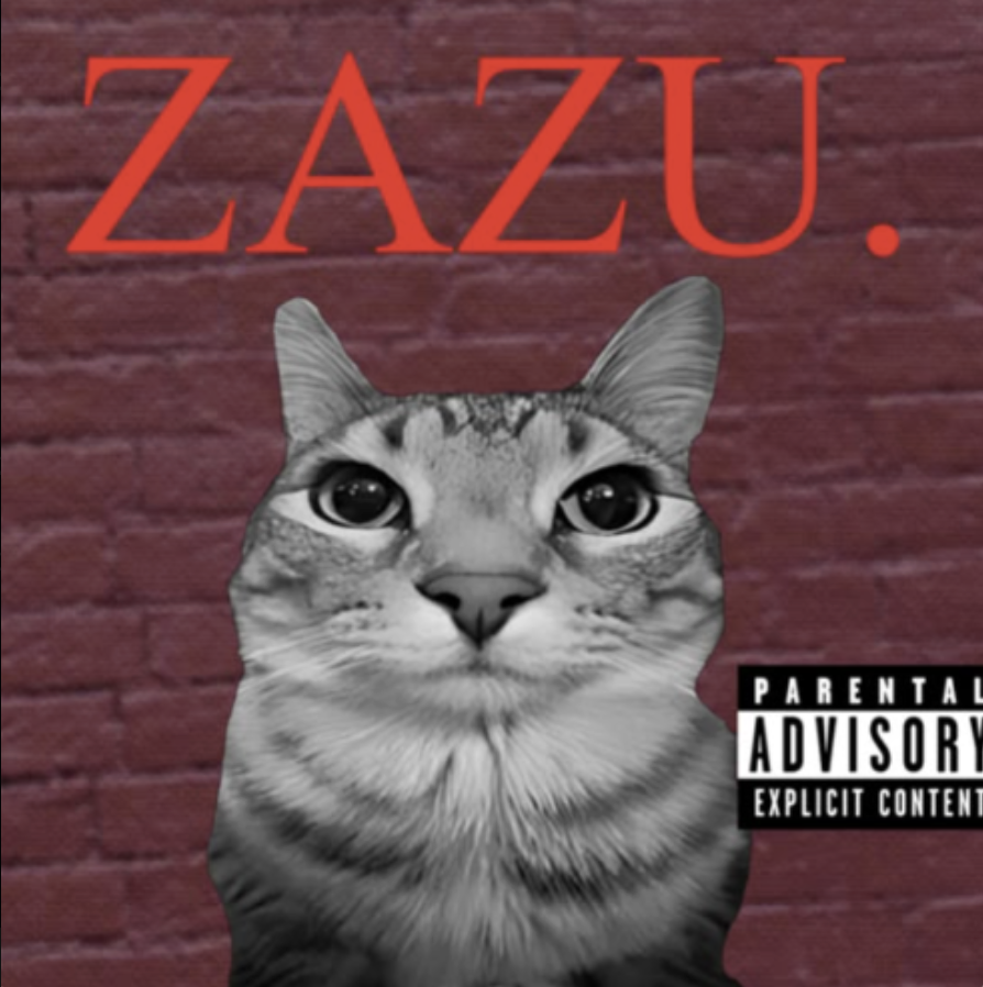 meme-05-zazu-album.png