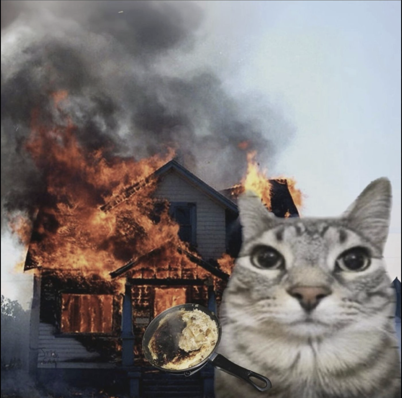 meme-06-fire.png
