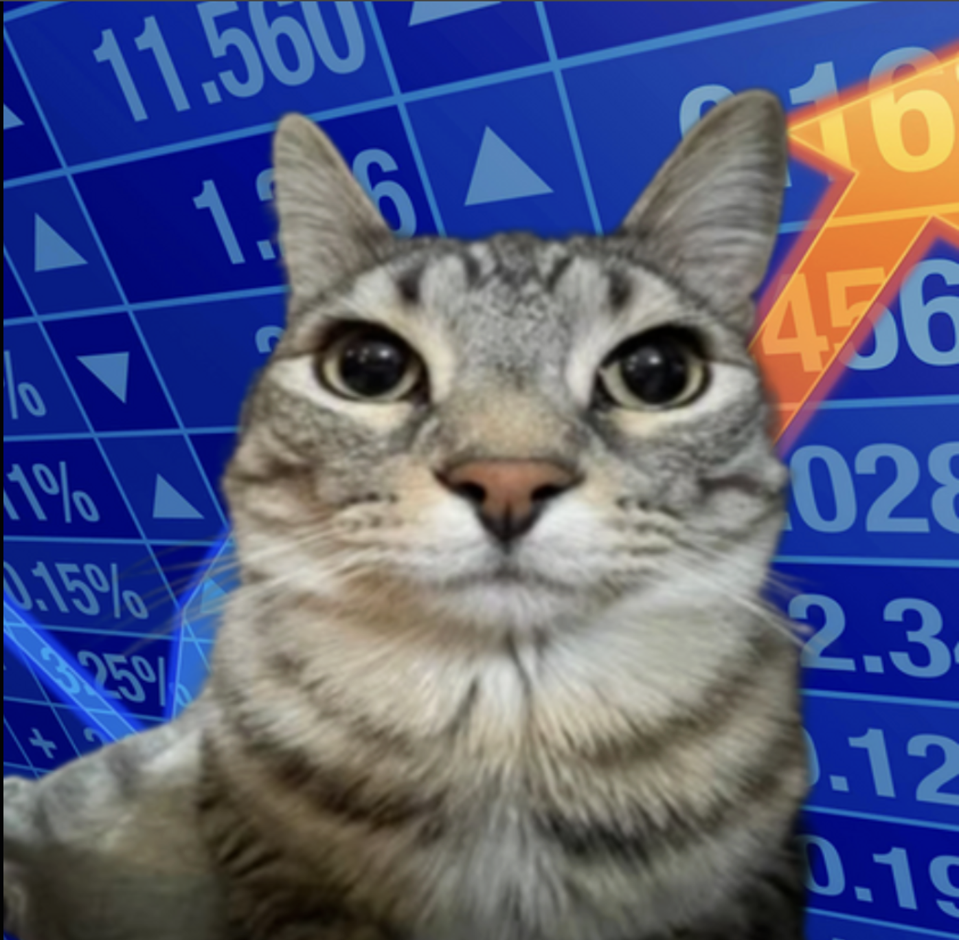 meme-07-stocks.png