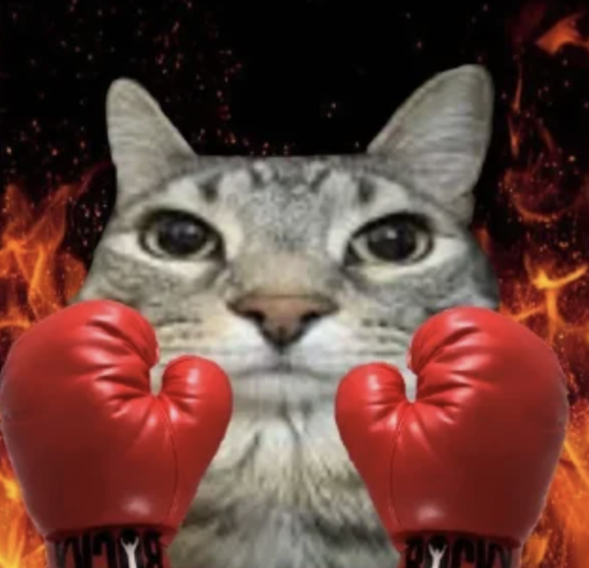 meme-09-boxer.png