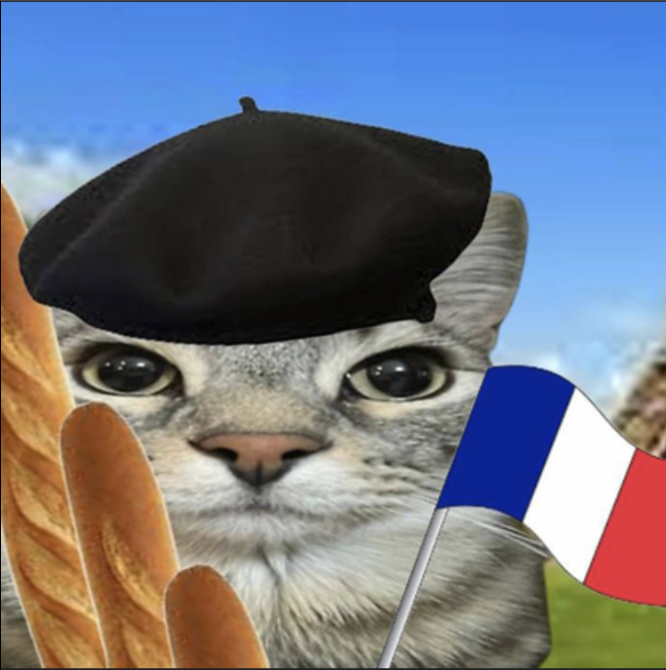 meme-10-french.png