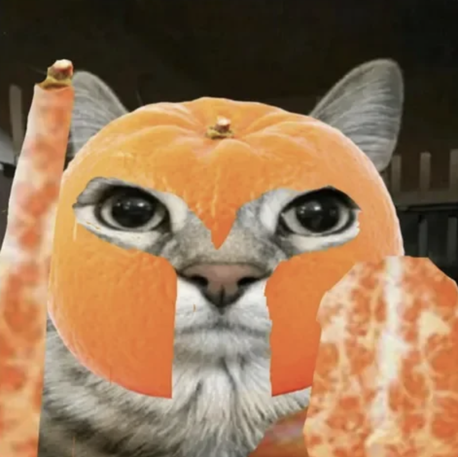 meme-12-orange.png