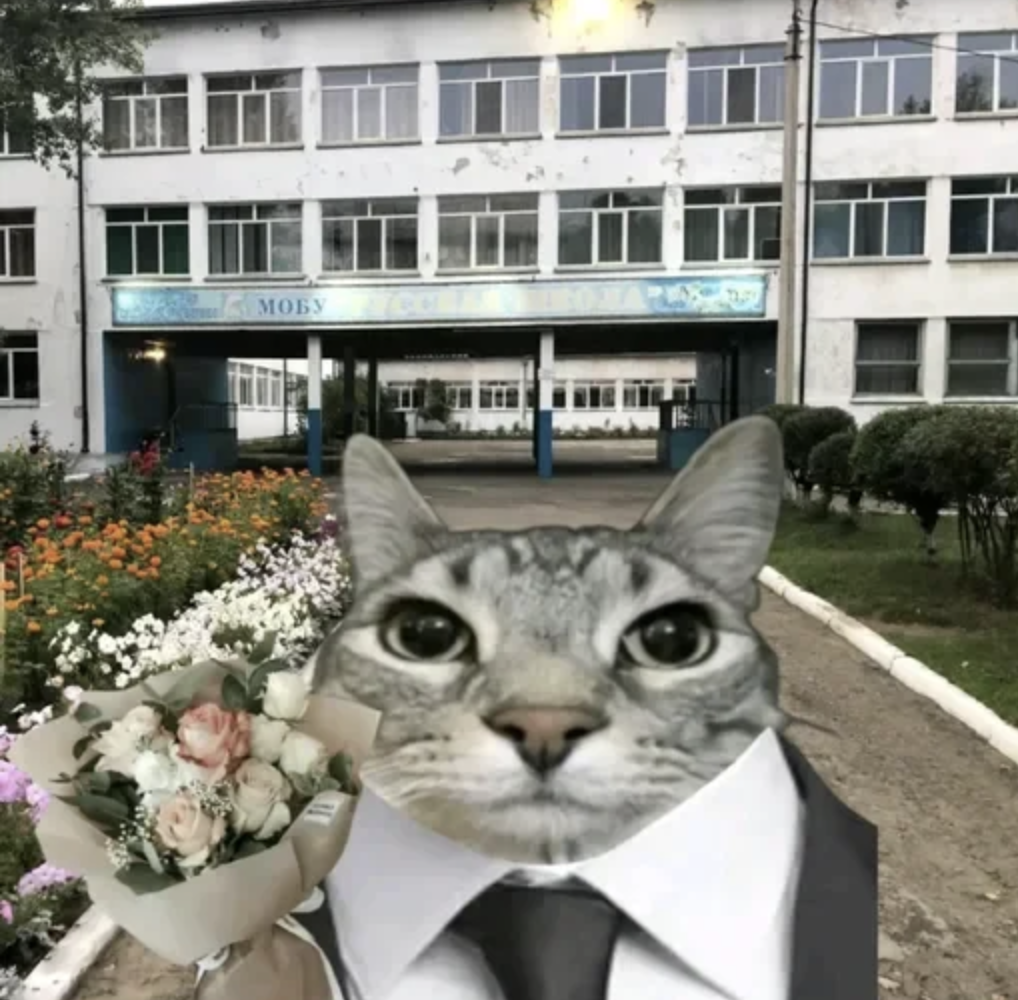 meme-13-suit.png