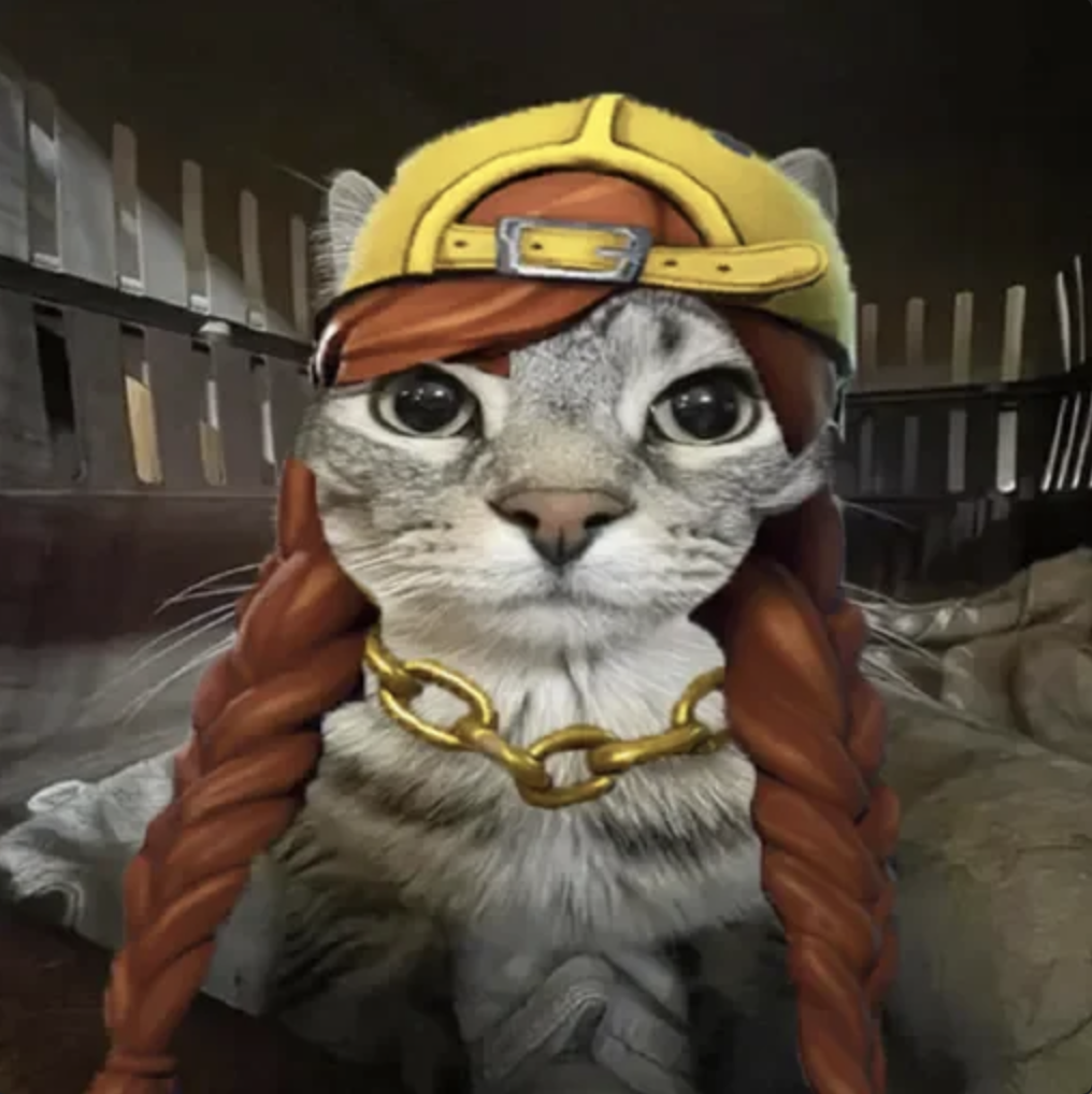meme-14-braids.png
