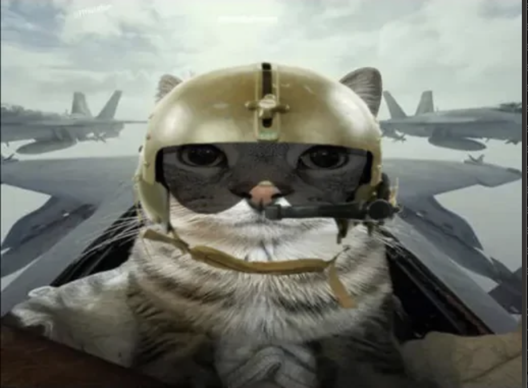 meme-15-pilot.png