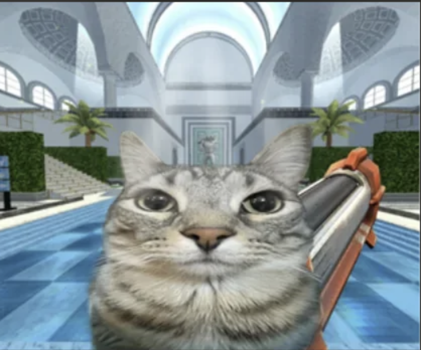 meme-16-pool.png