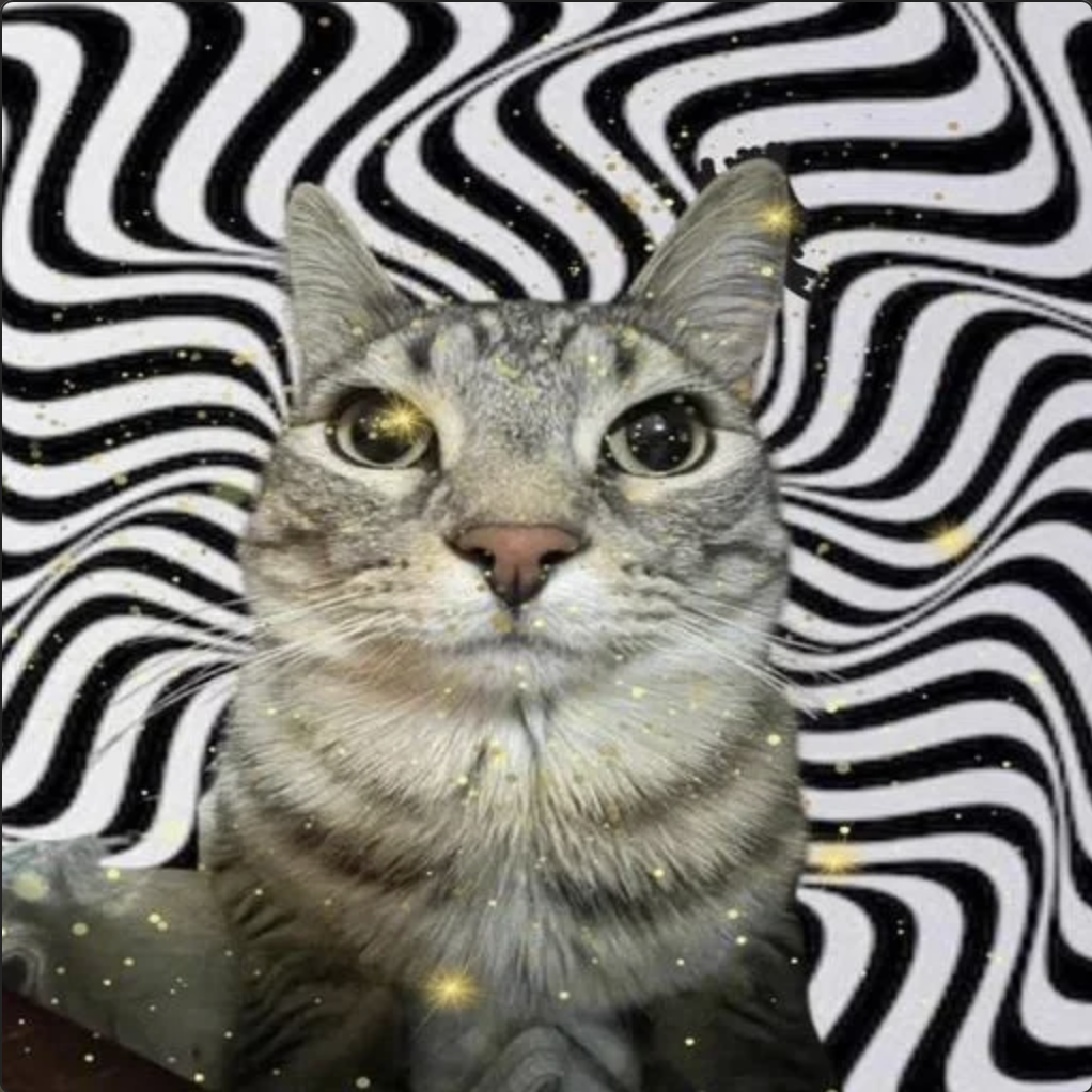 meme-17-hypno.png