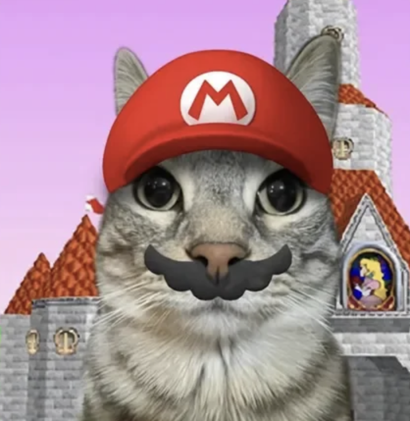 meme-18-mario.png
