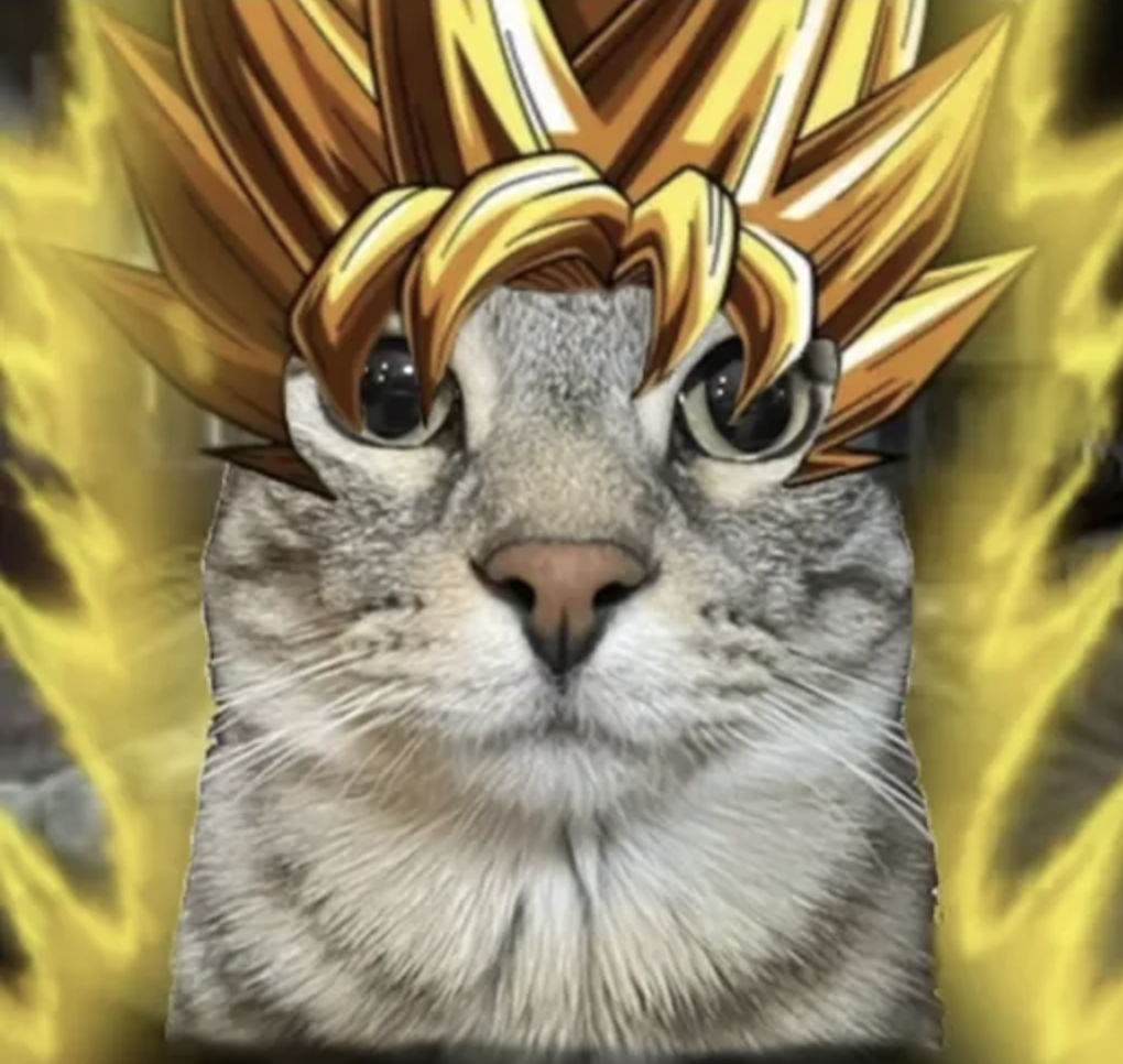 meme-20-super-saiyan.png