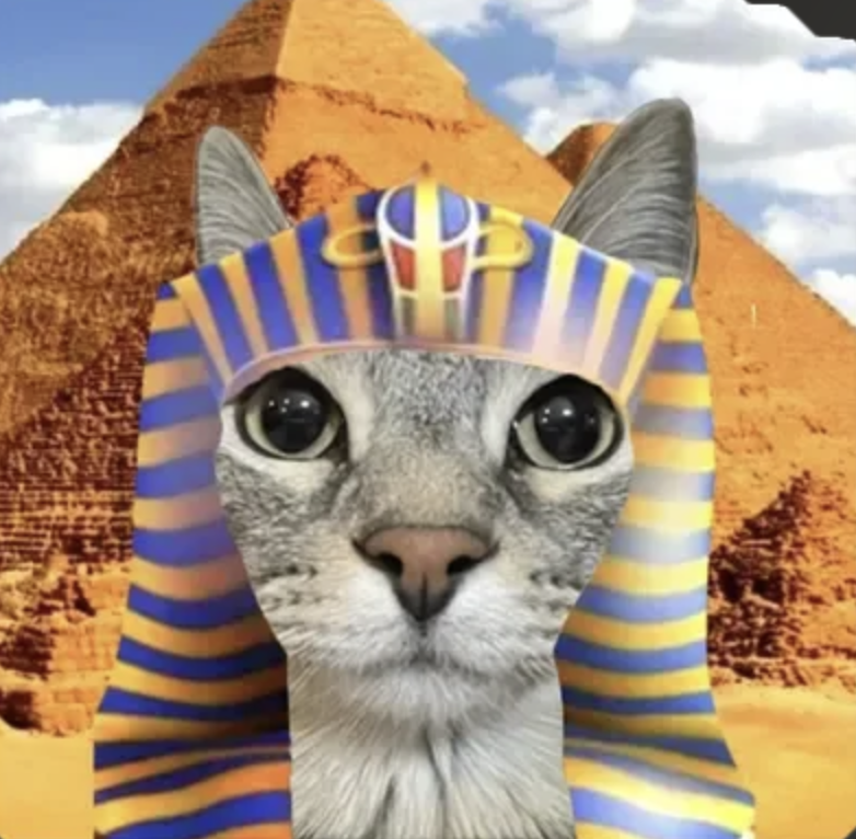 meme-23-pharaoh.png