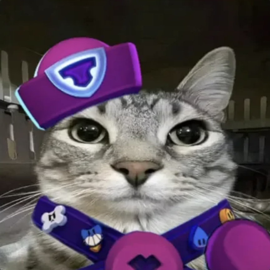 meme-24-pawpatrol.png