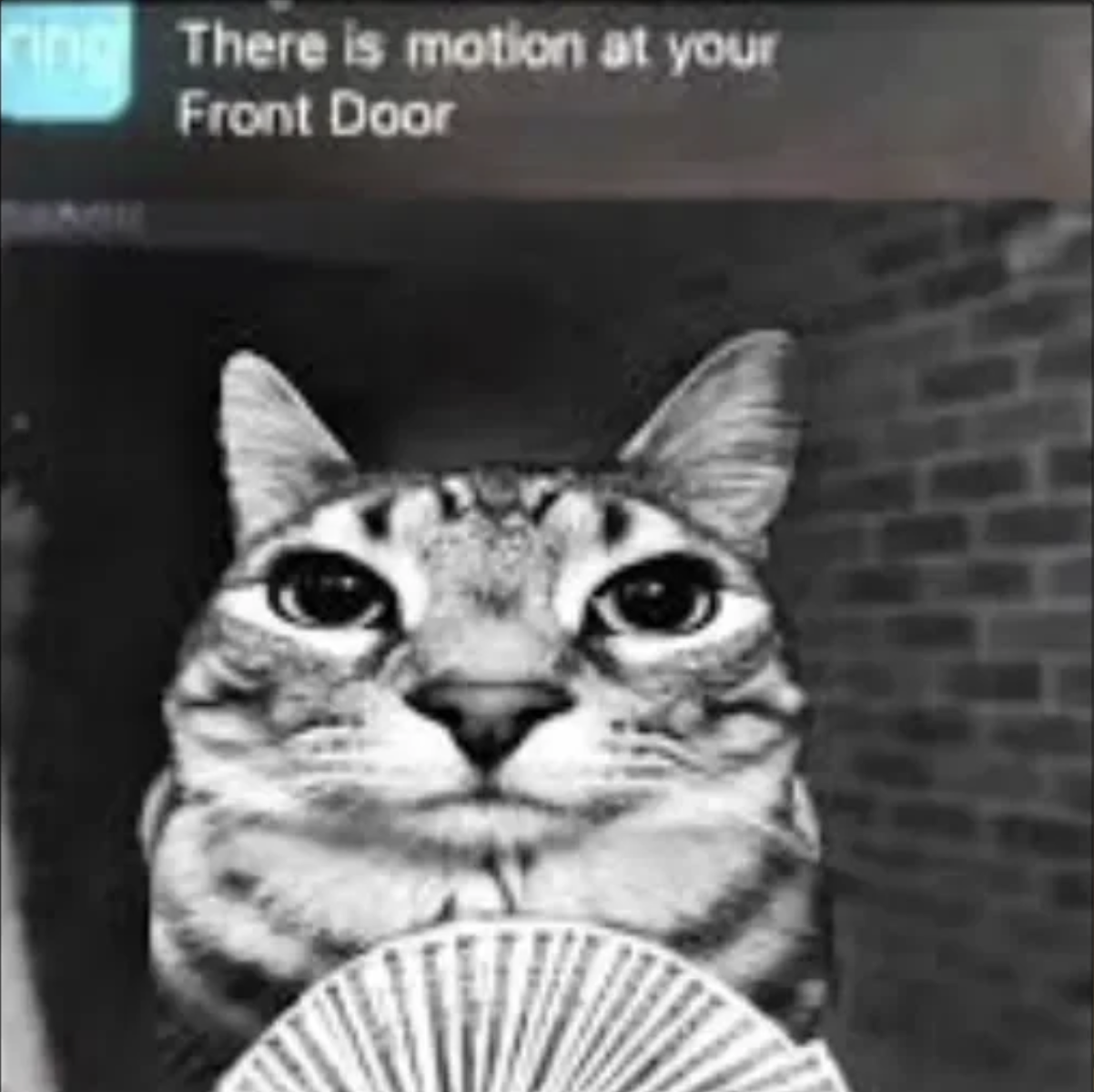 meme-25-ring.png