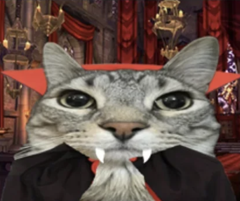 meme-26-vampire.png