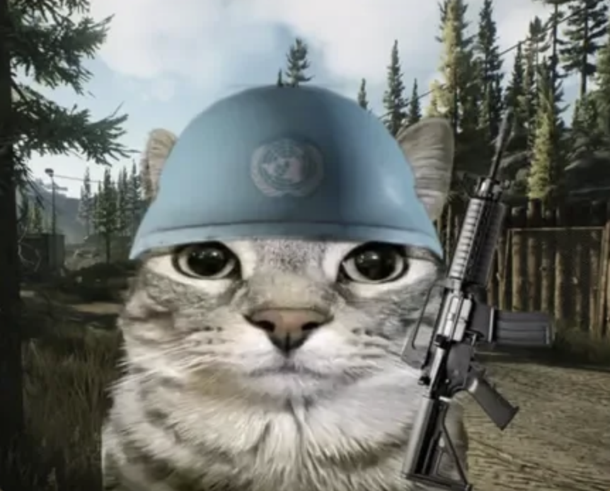 meme-29-un.png